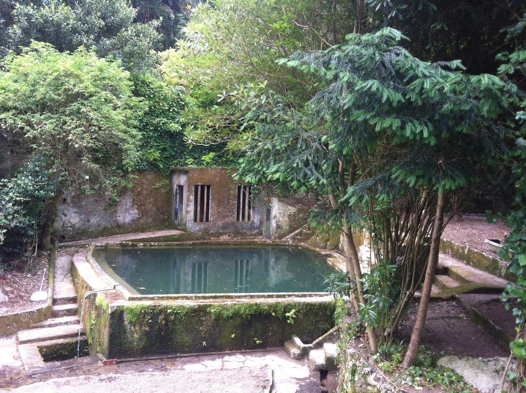 Hotel Quinta Do Castanheiro Sintra Exterior foto